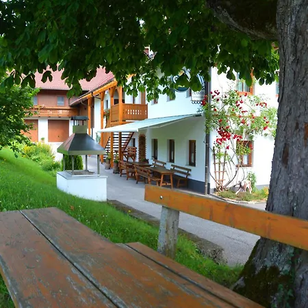 Pfaffenlehen