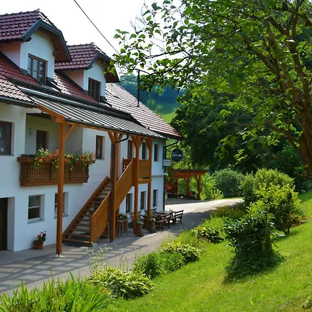 Pfaffenlehen Guest house 3*