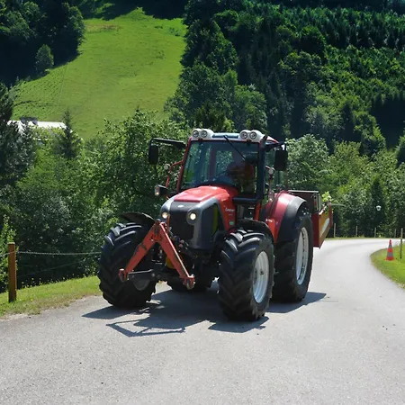 Pfaffenlehen 3* Maria Neustift
