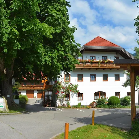 Pfaffenlehen Guest house 3*