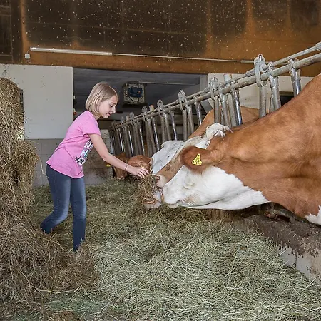 Pfaffenlehen Maria Neustift