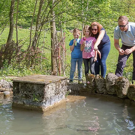 Pfaffenlehen Гостевой дом