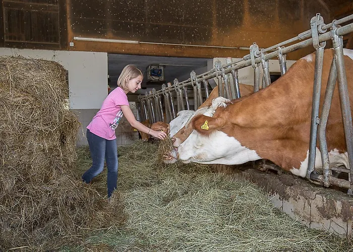 Pfaffenlehen Maria Neustift