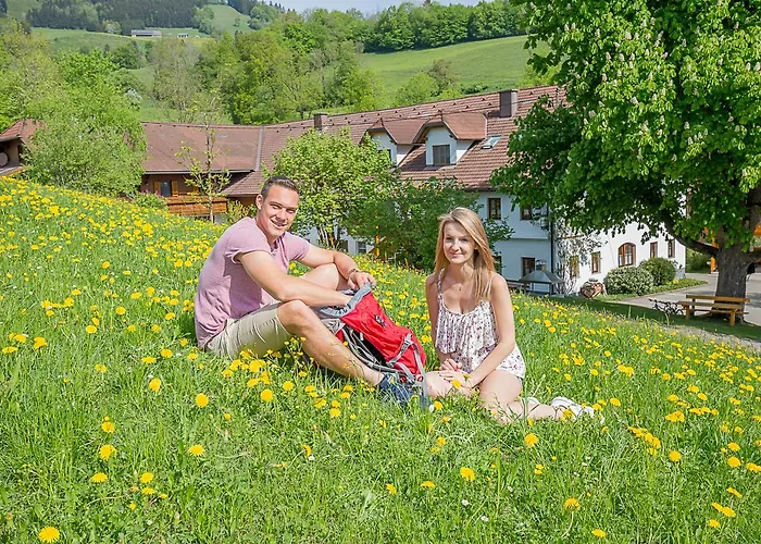 Guest house Pfaffenlehen 3*