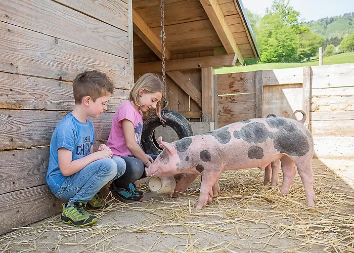 Pfaffenlehen Maria Neustift